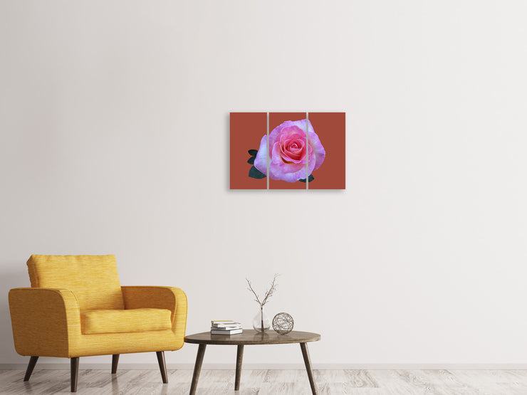 3 darab Vászonképek Rose in pink XXL