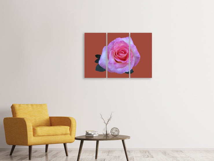 3 darab Vászonképek Rose in pink XXL