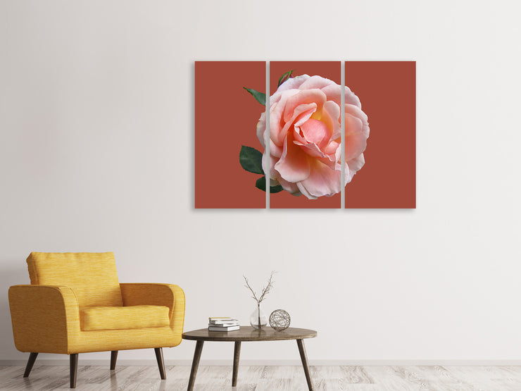 3 darab Vászonképek Rose in pink XXL 2