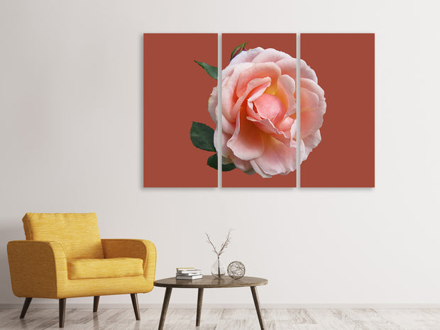 3 darab Vászonképek Rose in pink XXL 2