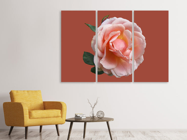 3 darab Vászonképek Rose in pink XXL 2