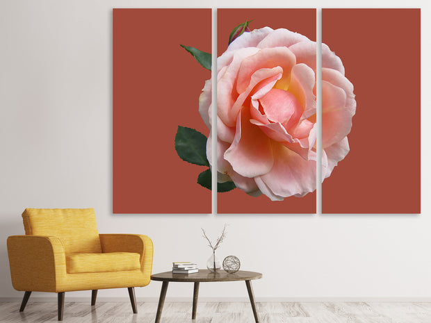 3 darab Vászonképek Rose in pink XXL 2