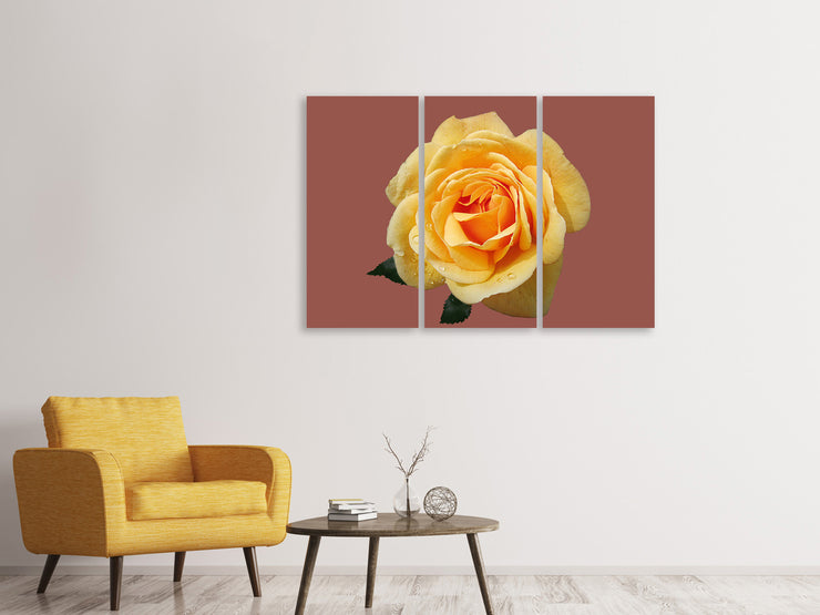 3 darab Vászonképek Rose in yellow XXL