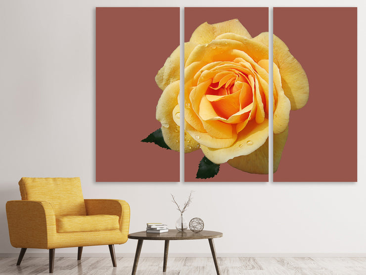 3 darab Vászonképek Rose in yellow XXL