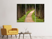 3 darab Vászonképek A path in the forest