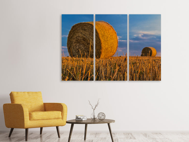 3 darab Vászonképek straw bales