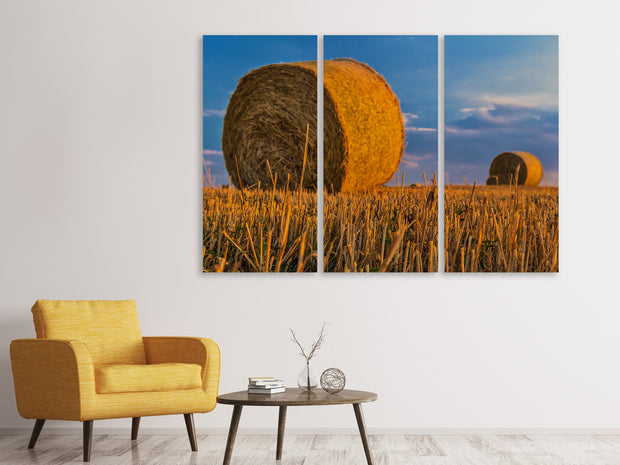 3 darab Vászonképek straw bales