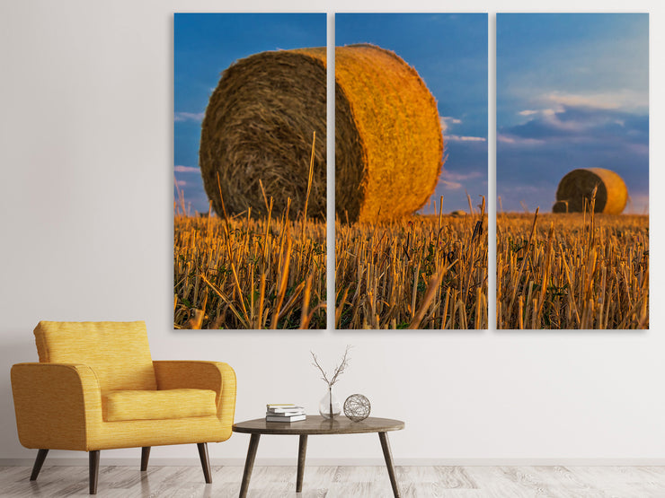 3 darab Vászonképek straw bales