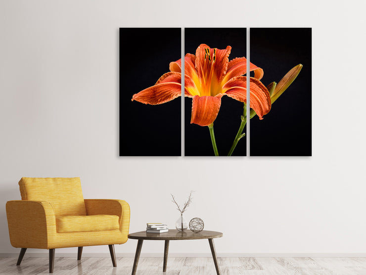 3 darab Vászonképek A lily flower in orange