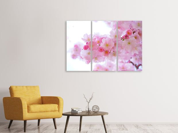 3 darab Vászonképek Japanese cherry blossom XL