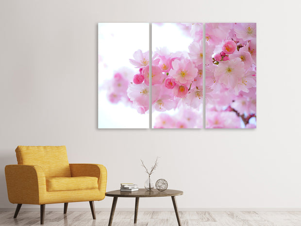 3 darab Vászonképek Japanese cherry blossom XL