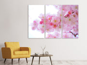 3 darab Vászonképek Japanese cherry blossom XL