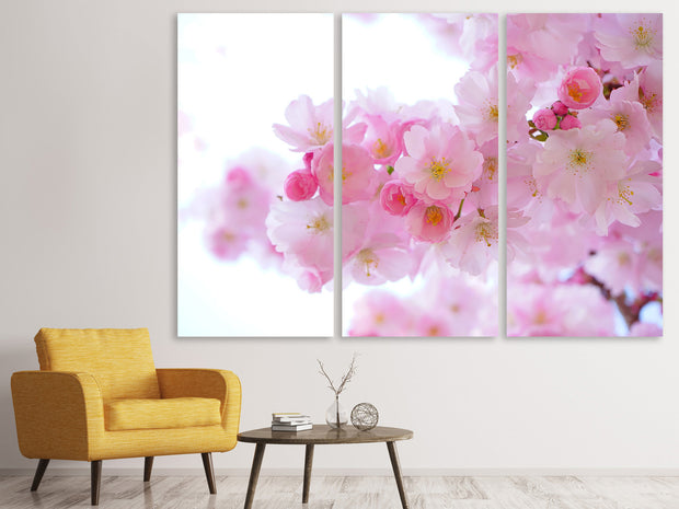 3 darab Vászonképek Japanese cherry blossom XL