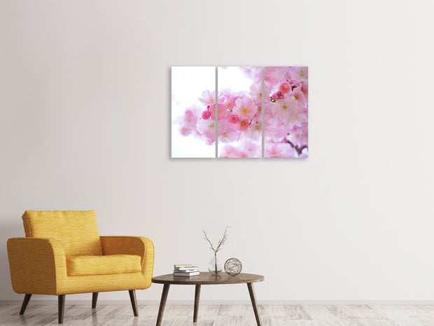 3 darab Vászonképek Japanese cherry blossom XL