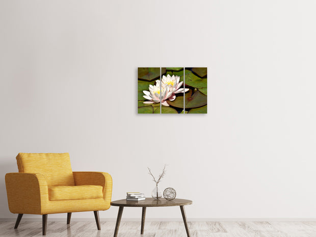 3 darab Vászonképek Water lily duo in white