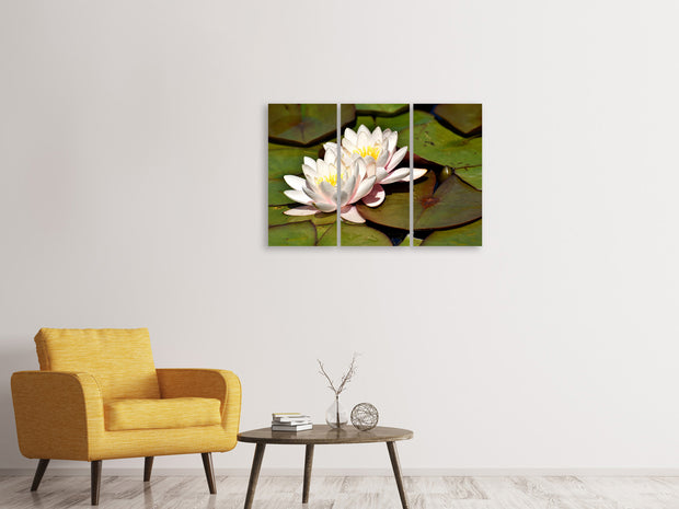 3 darab Vászonképek Water lily duo in white