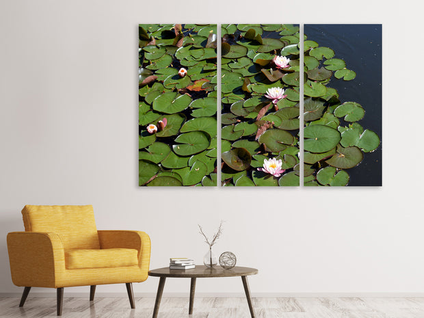 3 darab Vászonképek White water lilies in the pond