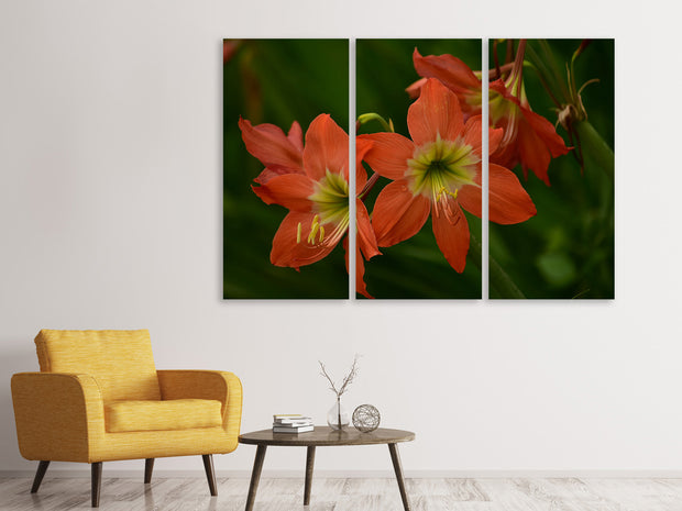 3 darab Vászonképek Lilies in orange