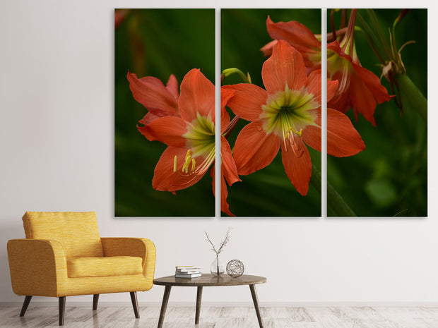 3 darab Vászonképek Lilies in orange