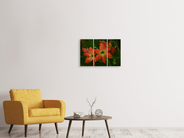 3 darab Vászonképek Lilies in orange