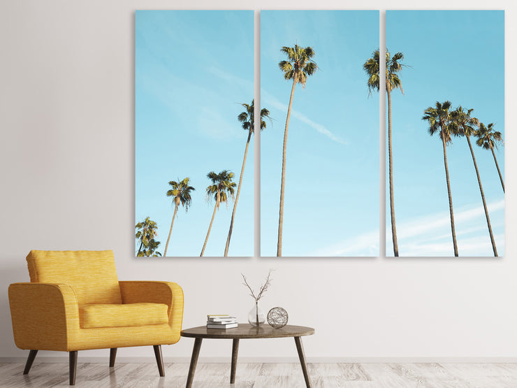 3 darab Vászonképek A sky full of palm trees
