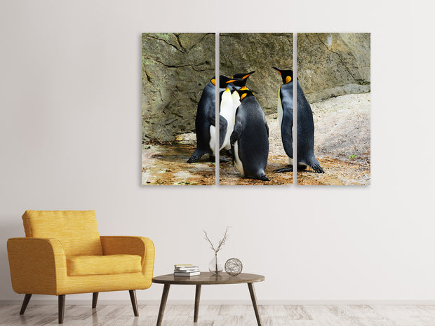 3 darab Vászonképek King penguins