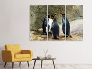 3 darab Vászonképek King penguins