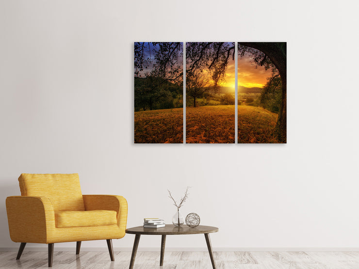 3 darab Vászonképek A landscape in the sunset