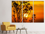 3 darab Vászonképek A shrub in the sunset