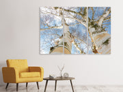 3 darab Vászonképek The 2 birches