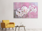 3 darab Vászonképek Cherry Blossoms XXL