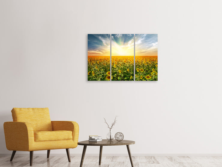 3 darab Vászonképek A Field Full Of Sunflowers