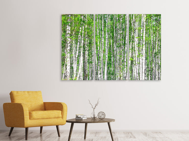 3 darab Vászonképek The Birch Forest