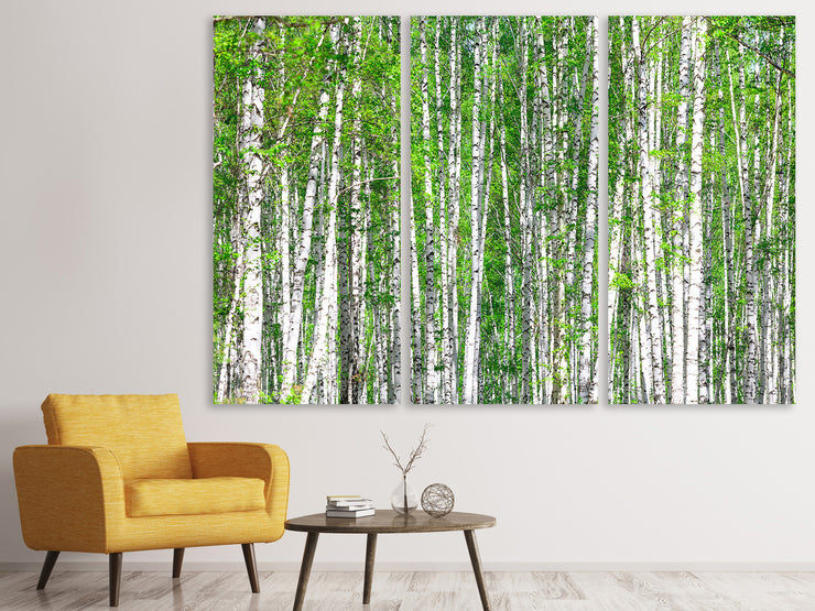 3 darab Vászonképek The Birch Forest