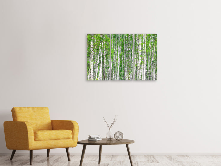 3 darab Vászonképek The Birch Forest