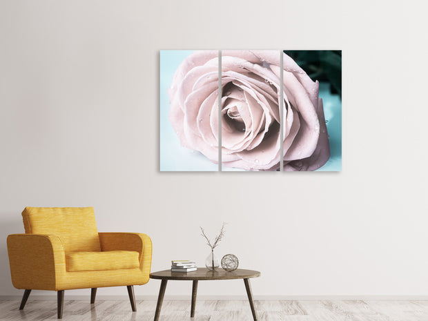 3 darab Vászonképek Pastel Rose