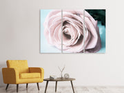 3 darab Vászonképek Pastel Rose