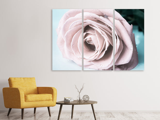 3 darab Vászonképek Pastel Rose