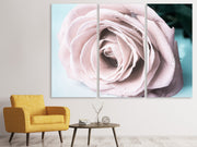 3 darab Vászonképek Pastel Rose