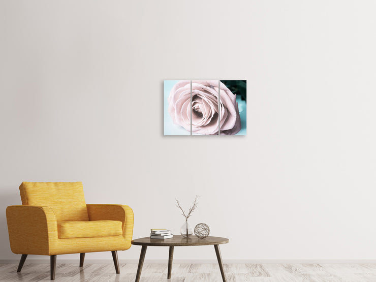 3 darab Vászonképek Pastel Rose