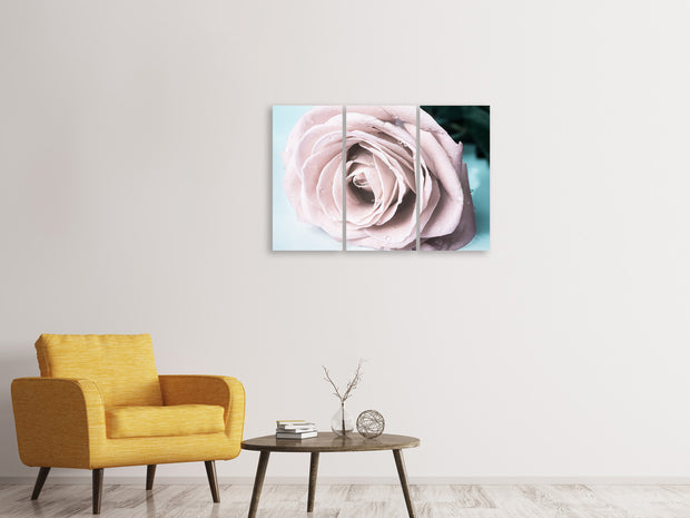 3 darab Vászonképek Pastel Rose