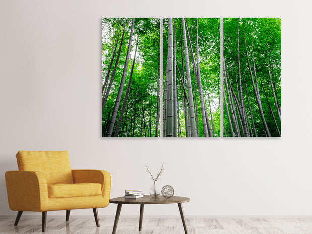 3 darab Vászonképek Bamboo Forest