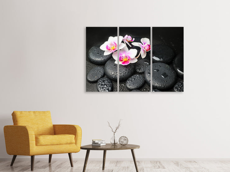 3 darab Vászonképek Feng Shui Orchid Zen