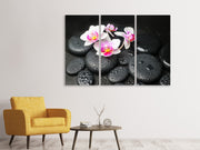 3 darab Vászonképek Feng Shui Orchid Zen