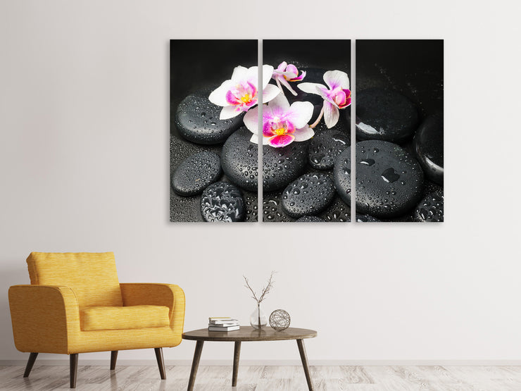 3 darab Vászonképek Feng Shui Orchid Zen