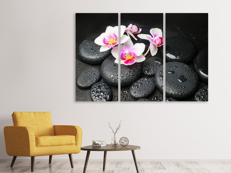 3 darab Vászonképek Feng Shui Orchid Zen