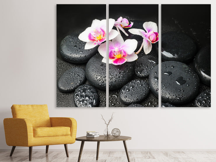 3 darab Vászonképek Feng Shui Orchid Zen