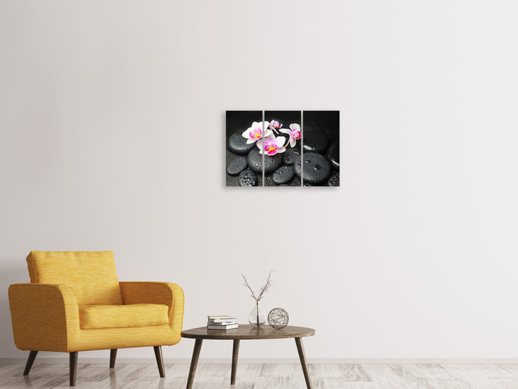 3 darab Vászonképek Feng Shui Orchid Zen