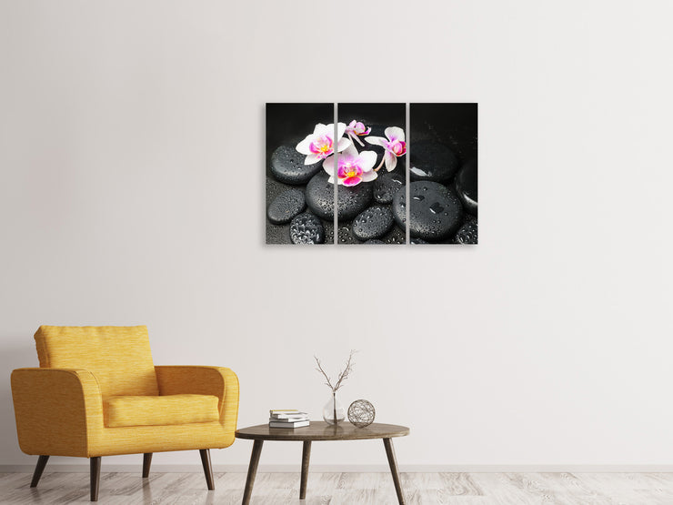 3 darab Vászonképek Feng Shui Orchid Zen
