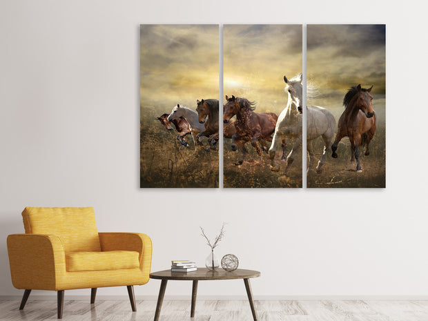 3 darab Vászonképek Wild Wild Horses